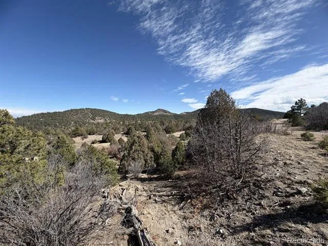 91 King Place Cotopaxi, CO 81223