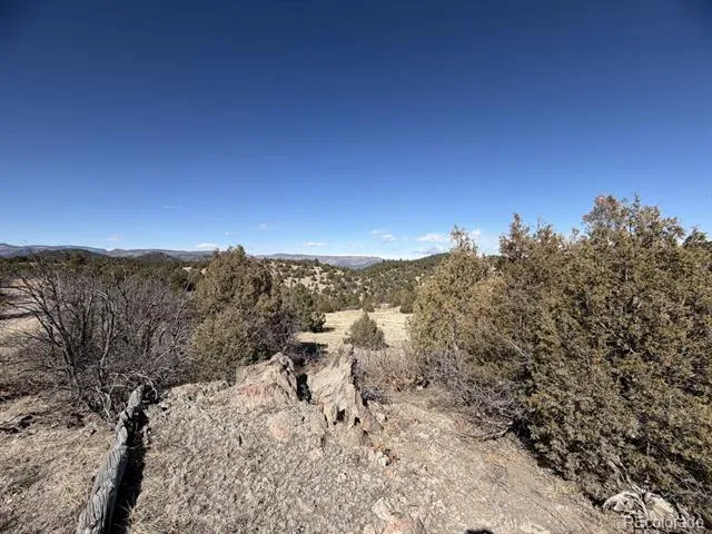 91 King Place Cotopaxi, CO 81223