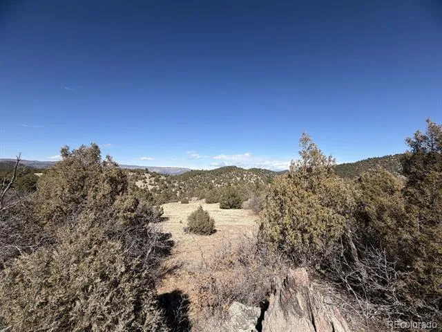 91 King Place Cotopaxi, CO 81223