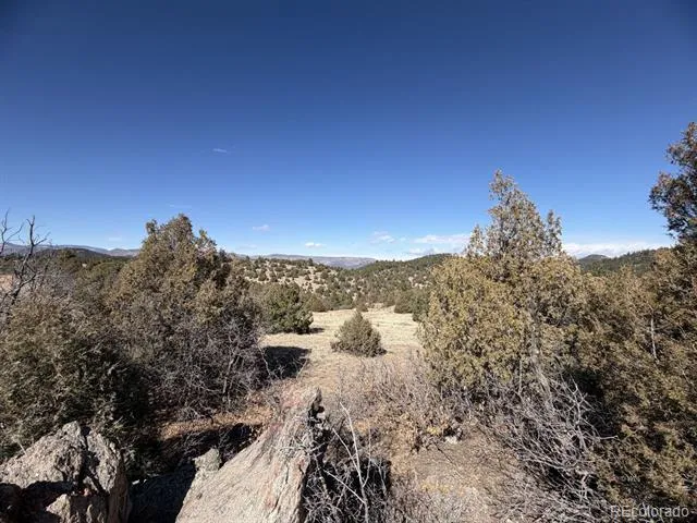 91 King Place Cotopaxi, CO 81223