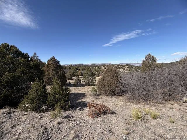 91 King Place Cotopaxi, CO 81223