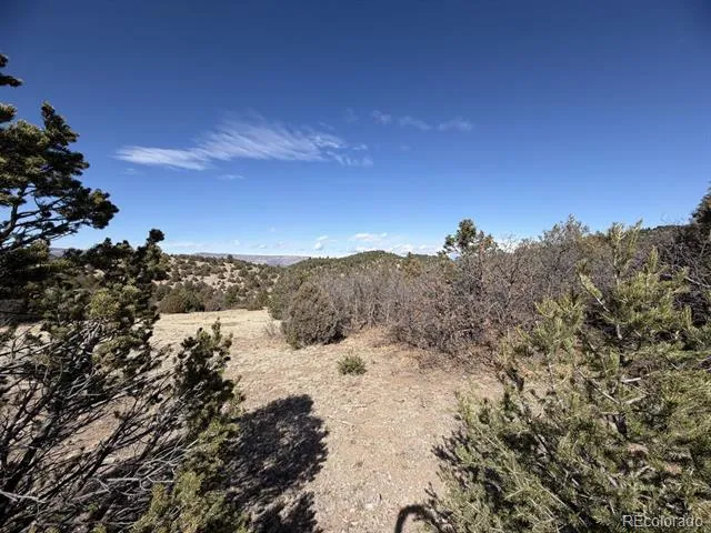 91 King Place Cotopaxi, CO 81223
