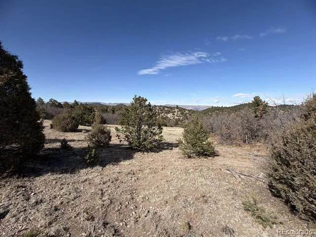 91 King Place Cotopaxi, CO 81223