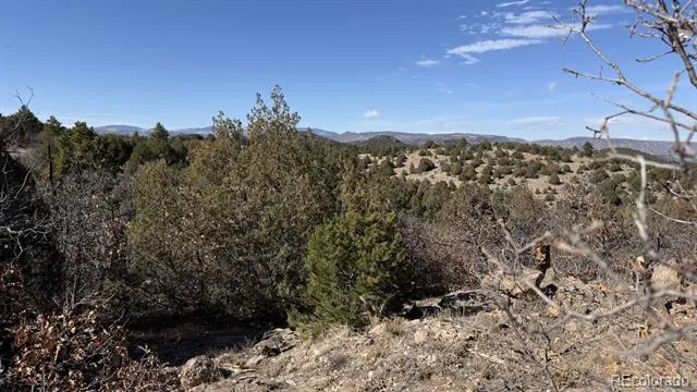 91 King Place Cotopaxi, CO 81223