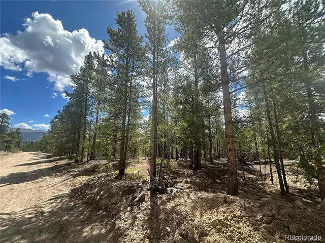 218 Aspen Drive Leadville, CO 80461