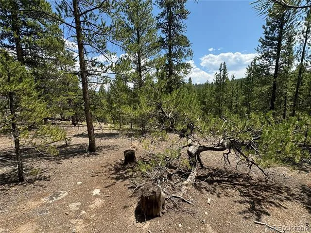 218 Aspen Drive Leadville, CO 80461