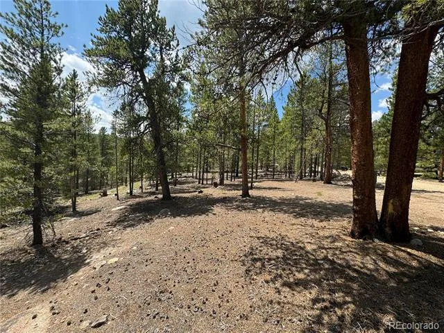 218 Aspen Drive Leadville, CO 80461