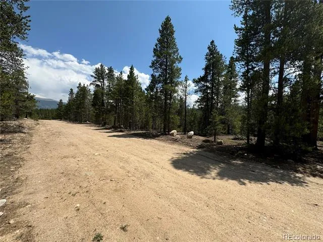 218 Aspen Drive Leadville, CO 80461