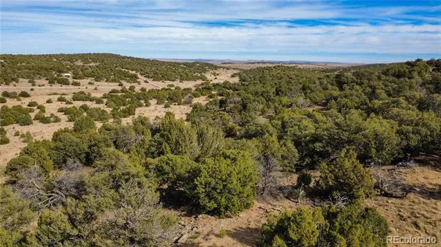 Lot 618 Pico del Questa Walsenburg, CO 81089