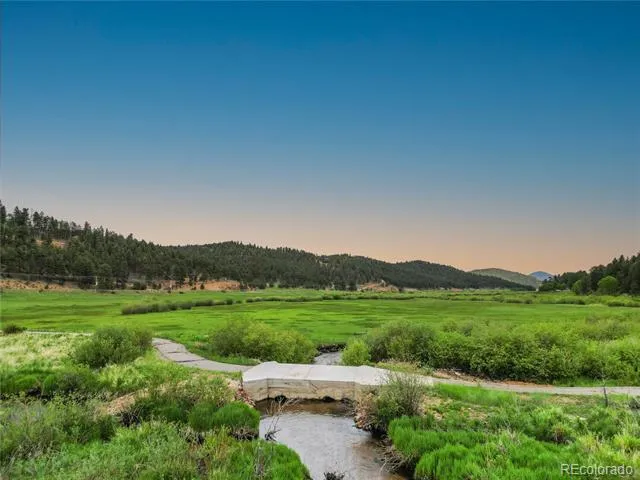 3763 County Road 43 Bailey, CO 80421