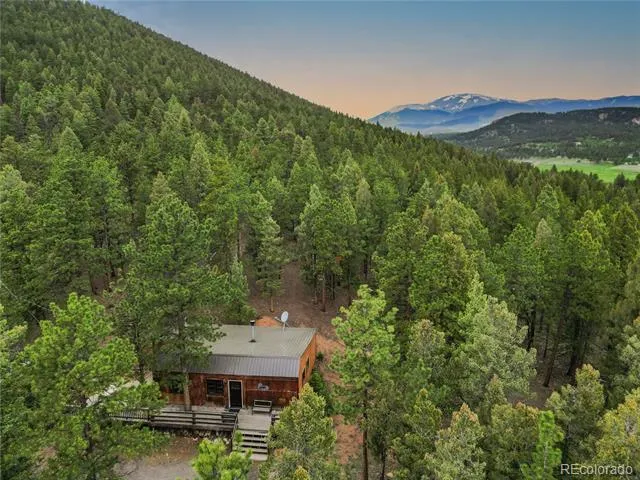 3763 County Road 43 Bailey, CO 80421