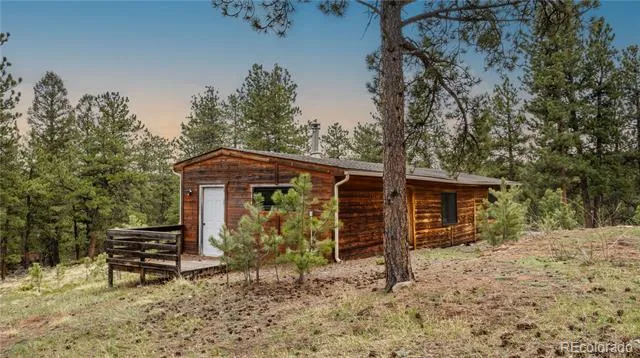 3763 County Road 43 Bailey, CO 80421