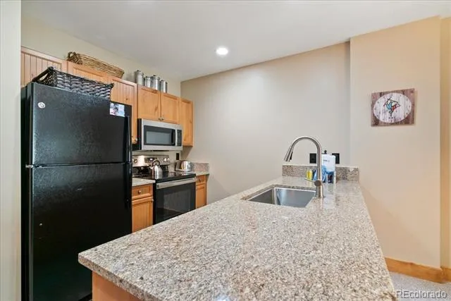 53 Hunki Dori Court #8886 Dillon, CO 80435