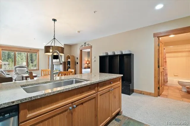 53 Hunki Dori Court #8886 Dillon, CO 80435