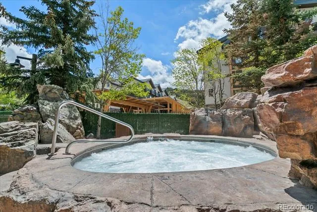 53 Hunki Dori Court #8886 Dillon, CO 80435