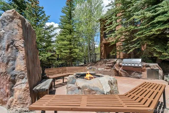 53 Hunki Dori Court #8886 Dillon, CO 80435