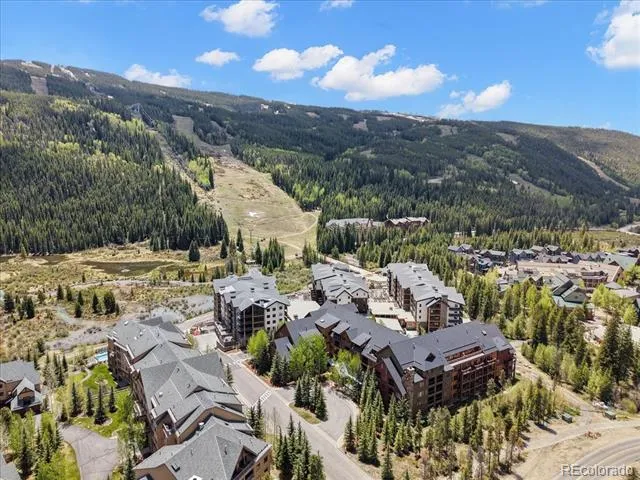 53 Hunki Dori Court #8886 Dillon, CO 80435