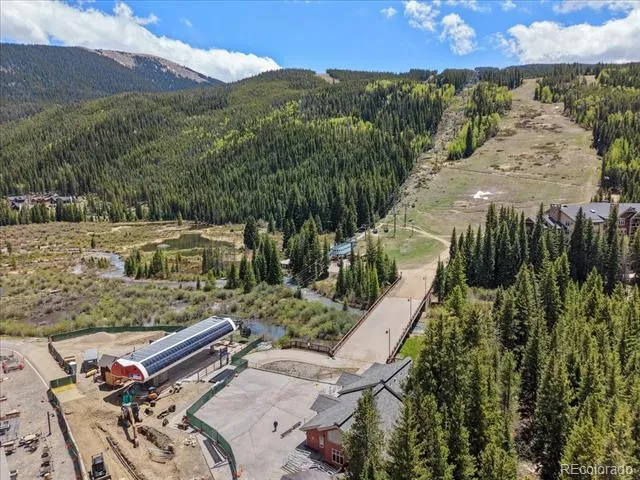 53 Hunki Dori Court #8886 Dillon, CO 80435