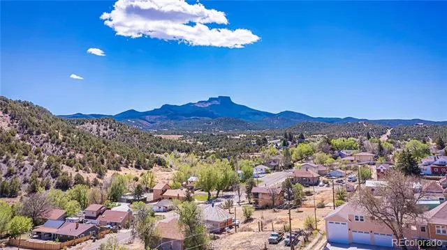 1008 Grant Avenue Trinidad, CO 81082