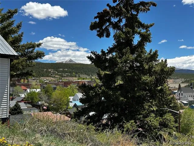 304 W 7th Street Leadville, CO 80461