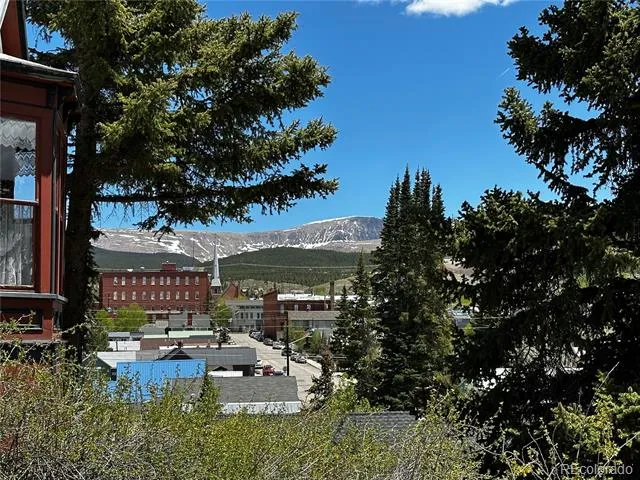 304 W 7th Street Leadville, CO 80461