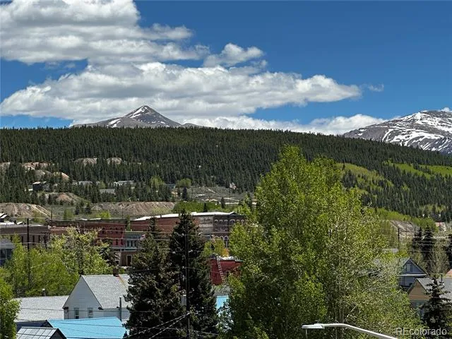 304 W 7th Street Leadville, CO 80461