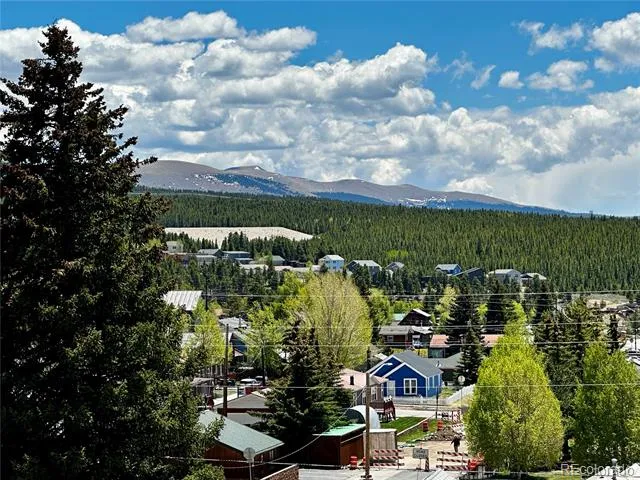 304 W 7th Street Leadville, CO 80461