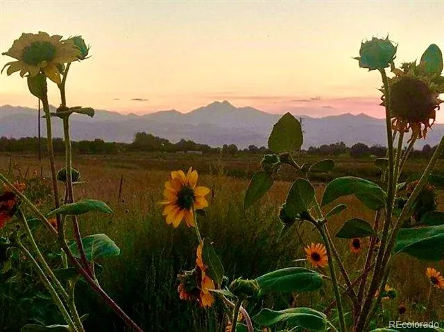 2832 County Road 20 Longmont, CO 80504