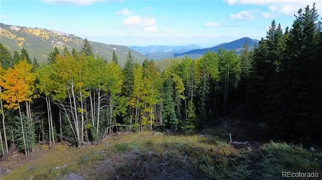 429 Sawmill Lane Idaho Springs, CO 80452