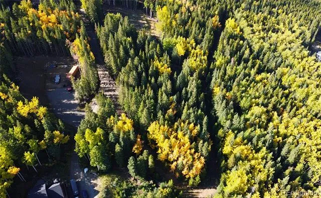 429 Sawmill Lane Idaho Springs, CO 80452