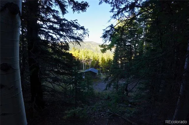 429 Sawmill Lane Idaho Springs, CO 80452