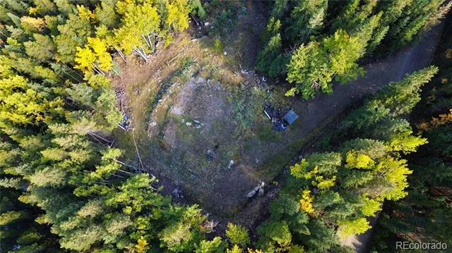 429 Sawmill Lane Idaho Springs, CO 80452