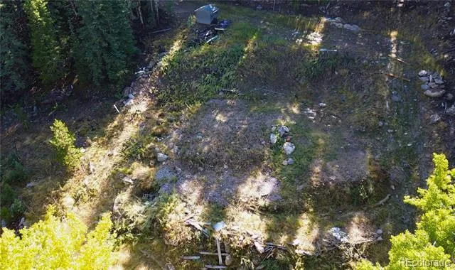 429 Sawmill Lane Idaho Springs, CO 80452