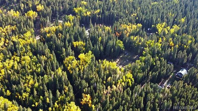 429 Sawmill Lane Idaho Springs, CO 80452