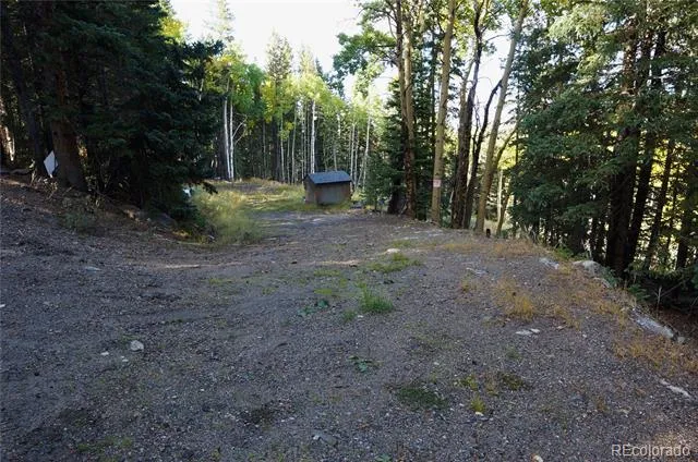 429 Sawmill Lane Idaho Springs, CO 80452