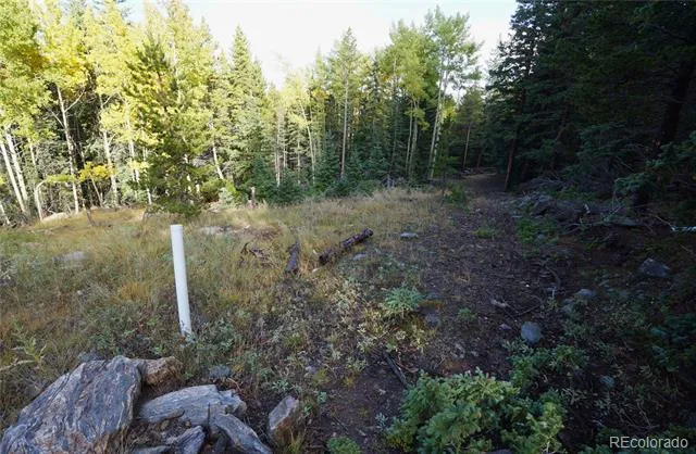429 Sawmill Lane Idaho Springs, CO 80452