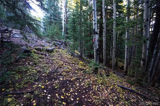 429 Sawmill Lane Idaho Springs, CO 80452