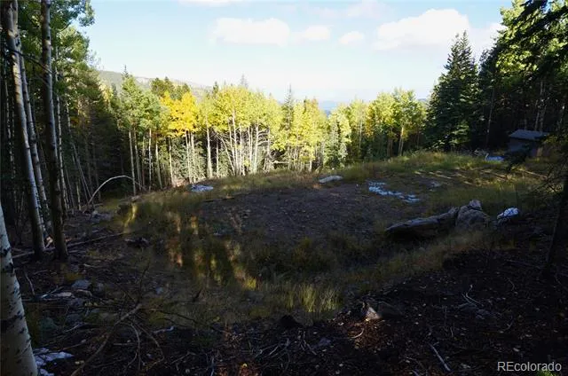 429 Sawmill Lane Idaho Springs, CO 80452