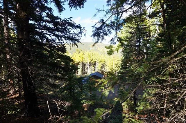 429 Sawmill Lane Idaho Springs, CO 80452