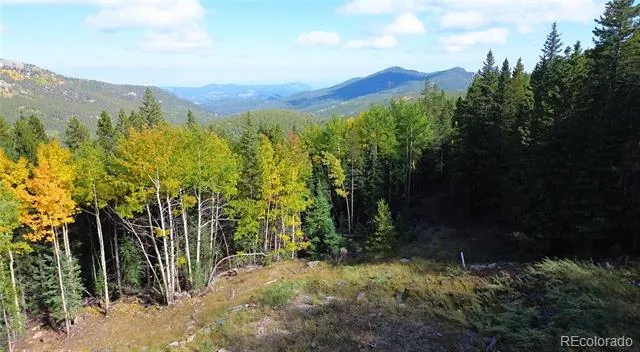 429 Sawmill Lane Idaho Springs, CO 80452