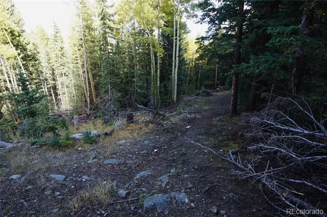 429 Sawmill Lane Idaho Springs, CO 80452