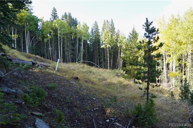 429 Sawmill Lane Idaho Springs, CO 80452