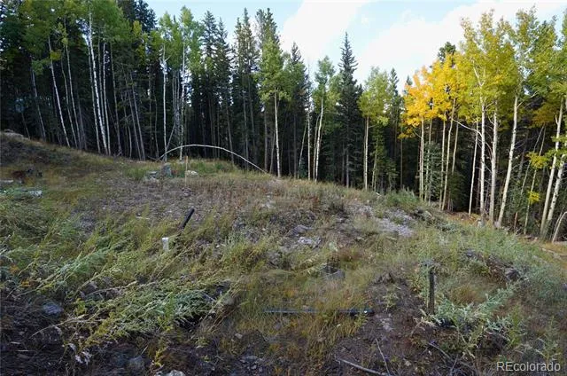 429 Sawmill Lane Idaho Springs, CO 80452