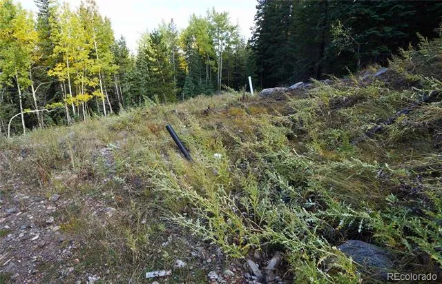 429 Sawmill Lane Idaho Springs, CO 80452