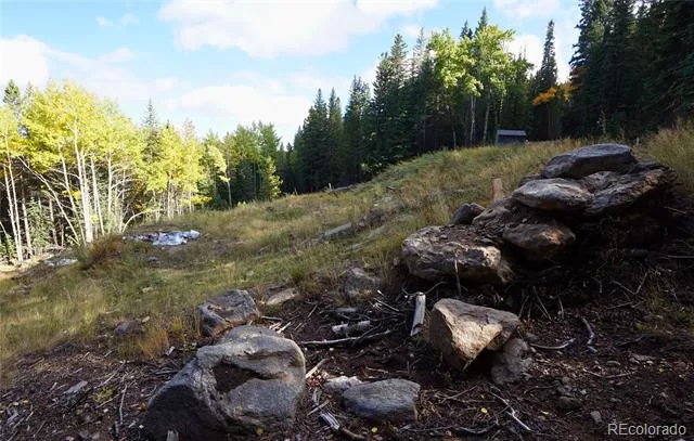 429 Sawmill Lane Idaho Springs, CO 80452