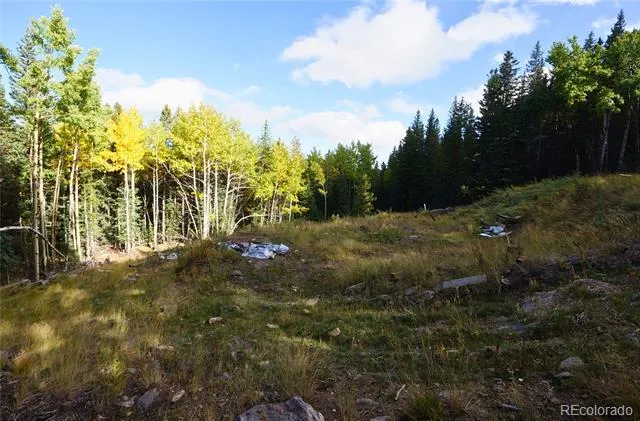 429 Sawmill Lane Idaho Springs, CO 80452