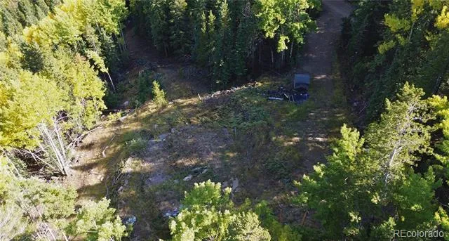 429 Sawmill Lane Idaho Springs, CO 80452