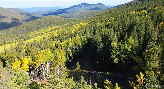 429 Sawmill Lane Idaho Springs, CO 80452