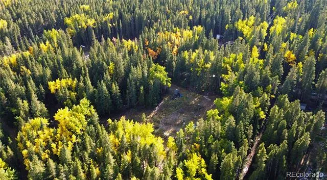 429 Sawmill Lane Idaho Springs, CO 80452