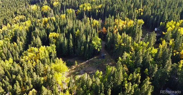 429 Sawmill Lane Idaho Springs, CO 80452